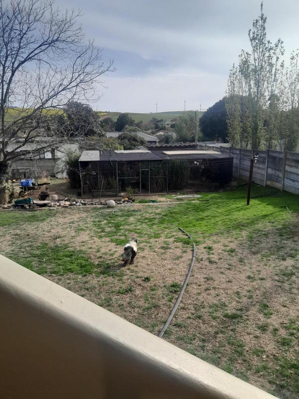 4 Bedroom Property for Sale in Caledon Western Cape